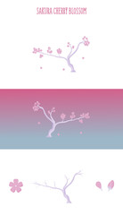 Cherry blossom vector, sakura.Vector image. White and gradient background.