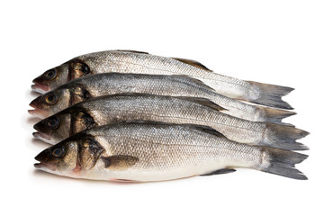 Raw whole seabass fish isolated on white