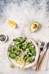 Salad of fresh vegetables and herbs. Appetizer with radish, avocado and mung bean salad. Concept of healthy eating. Vitamins for immunity. Food for vegetarians. Copy space