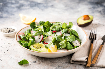 Salad of fresh vegetables and herbs. Appetizer with radish, avocado and mung bean salad. Concept of healthy eating. Vitamins for immunity. Food for vegetarians. Copy space