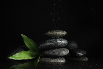 Obraz na płótnie Canvas Stones and bamboo sprout under rain on black background. Zen lifestyle