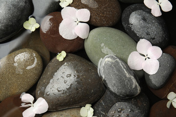 Stones and flowers in water as background, top view. Zen lifestyle