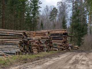 A stack of wooden logs piled on the side of the road