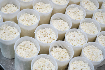 Stage in production of cheese - Forming pressing of cheese mass. Cheese grains about 6 mm in size in molding glasses. Decontamination of the intermediate product. Private small-scale cheese factory..