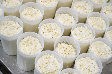Stage in production of cheese - Forming pressing of cheese mass. Cheese grains about 6 mm in size in molding glasses. Decontamination of the intermediate product. Private small-scale cheese factory..