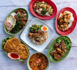 Thai Food Mixed Dishes Set 21111