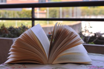 open book on the grass