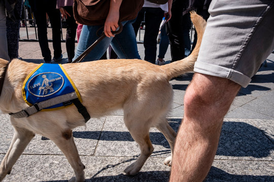 France Paris D&eacute;monstration de l'&eacute;cole des chiens guides