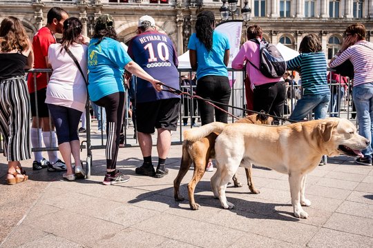 France Paris D&eacute;monstration de l'&eacute;cole des chiens guides