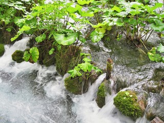 2010 07 31 Laghi di Plitvice