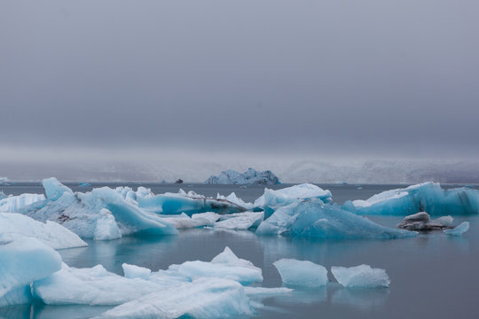 Eisberge in isl&auml;ndischer Gletscherlagune J&ouml;kulsarlon, teilweise mit Seehunden. Gletscherabbruch.