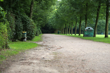 ein breiter sand weg im stadtpark