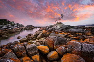 Sunset at Binalong Bay, situated at the southern end of the beautiful Bay of Fires, East Coast, Tasmania, Australia. - obrazy, fototapety, plakaty