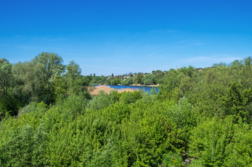 Old pond overgrown with spring vegetation