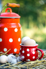 chicken eggs in a big red cup