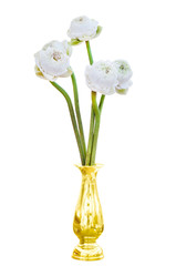 White lotus flowers arranged in a golden vase. Worship for buddhist.  Isolated wtih clipping path.