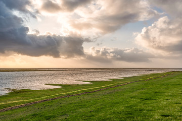 Coastal landscape near Westerhever