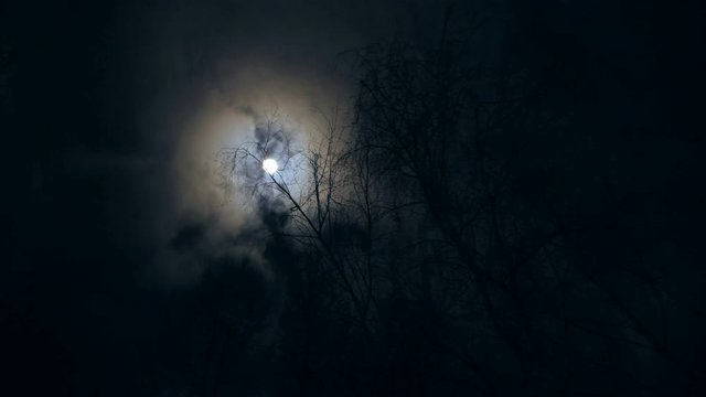 Night full moon and fast-moving clouds on a dark background of trees. Shrill moonlight in the dark. Gloomy and scary blurred background in the forest. Fast motion time laps time, 4K video.