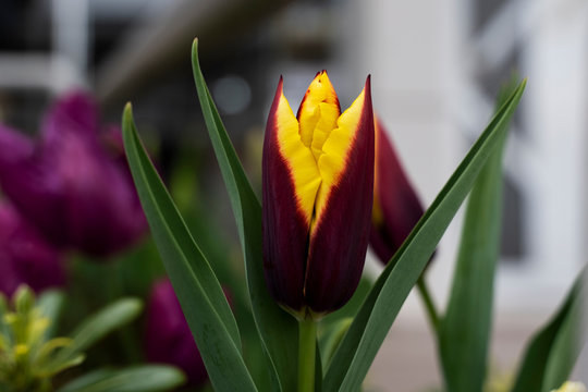 &Acirc;&copy; Vaggelis Mantzios | https://instagram.com/vimage_photography