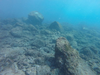 See star underwater Tenerife freediving