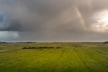 Landscape with salt marshes near Westerhever