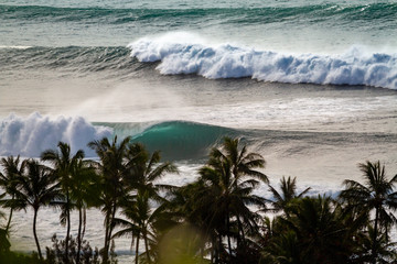 Perfect wave at Pipeline Hawaii