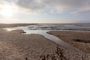 Dirty smelly sewage flows into sea on the sand of an open city beach. Ecological problem of...