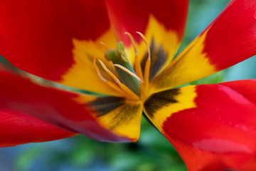 Â© Vaggelis Mantzios | https://instagram.com/vimage_photography