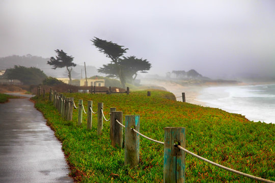 Foggy morning in California. USA, Half Moon Bay