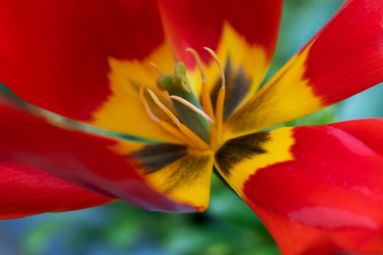 &Acirc;&copy; Vaggelis Mantzios | https://instagram.com/vimage_photography