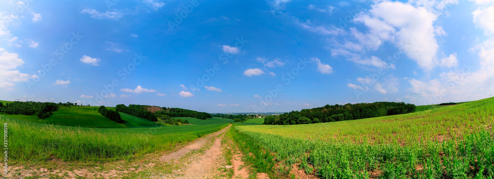 Sticker green field with plants and country road