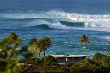 surf in Hawaii
