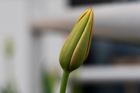 &Acirc;&copy; Vaggelis Mantzios | https://instagram.com/vimage_photography