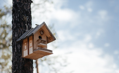 Beautiful bird house on a tree in spring. The house for birds. Free place to copy