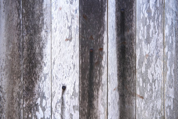 Wooden old fence made of unpainted boards. Surface of fence as a background.