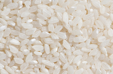 Close-up rice texture.