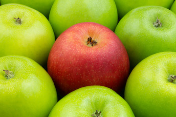 One red apple and many green apples, unique and difference concept