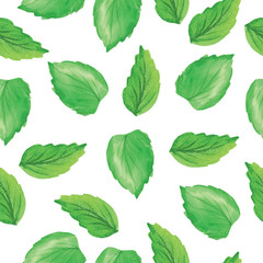 watercolor green mint and blueberry isolated element on white background 