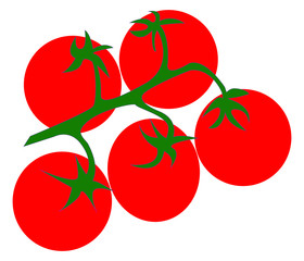 tomato on branch vector isolated