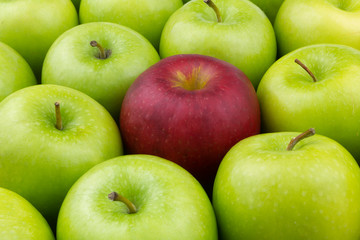 One red apple and many green apples, unique and difference concept