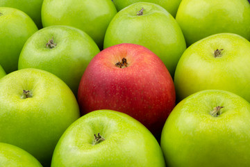 One red apple and many green apples, unique and difference concept