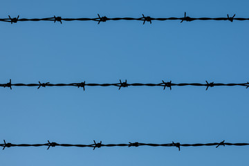 Blue wire 2