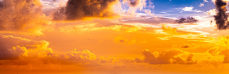 Fototapeta premium sky sunset background