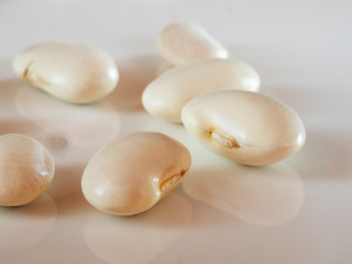 White beans on white background