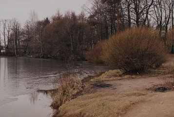 river in spring