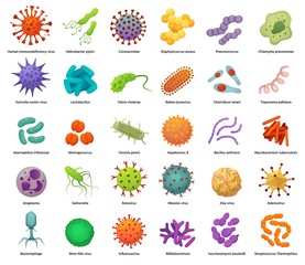 Bacteria and virus icons. Disease-causing bacterias, viruses and microbes. Color germs, bacterium types vector illustration set. Coronavirus and bacterium, pathogen hepatovirus and zika - obrazy, fototapety, plakaty