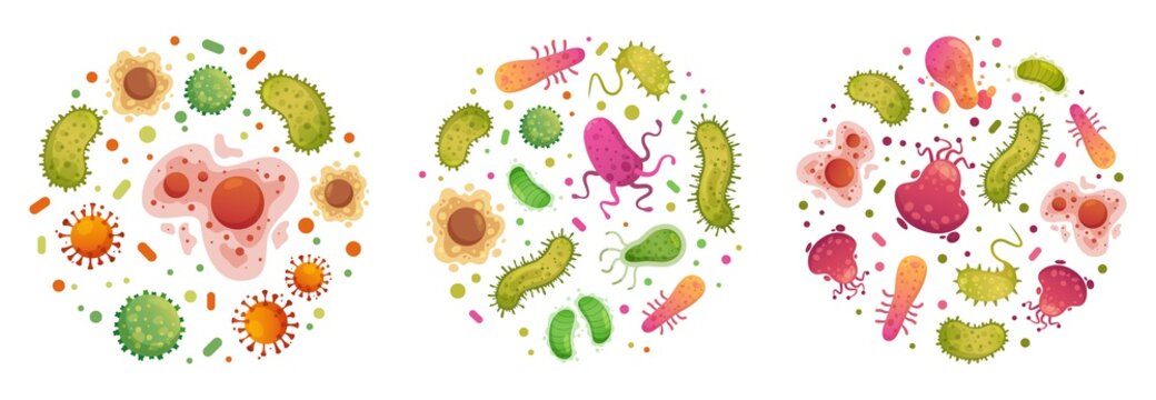 Bacteria and germ in circle. Bacterias, disease cells and germs in round frame. Human diseases cartoon vector illustration set. Bacteria biology, bacterium virus, microorganism infection
