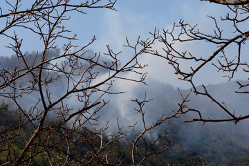 Italia : Incendio montano a Giffoni Valle Piana, 9 Aprile 2020.
