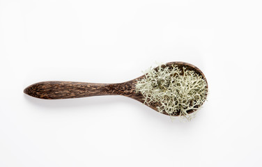 Grey reindeer lichen ( Cladonia rangiferina ) used to make herbal medicine tea drink. Dried plant on wood spoon isolated on white background.