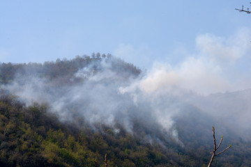 Italia : Incendio montano a Giffoni Valle Piana, 9 Aprile 2020.